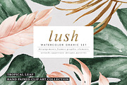 Lush-Summer Graphic Set, an Illustration by Graphic Box (Thumbnail 1 of 8)