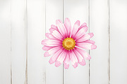 Abstract Pink Flower, an Illustration by Watercolor design (Thumbnail 4 of 6)