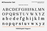 Family Luxury Serif Font - Quinela, a Serif Font by Say Studio (Thumbnail 11 of 12)