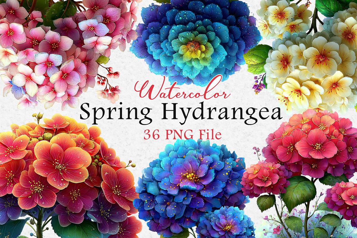 Watercolor Hydrangea Clipart,Spring, an Illustration by Dream Creation (Photo 1 of 4)