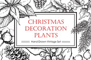 Hand Drawn Christmas Plants., a Decorative Illustration by Epine (Thumbnail 1 of 3)