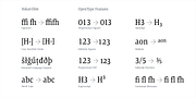 Askan Slim, a Serif Font by Hoftype (Thumbnail 12 of 14)