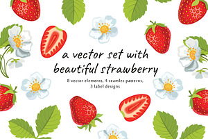 Vector set with delicious strawberri