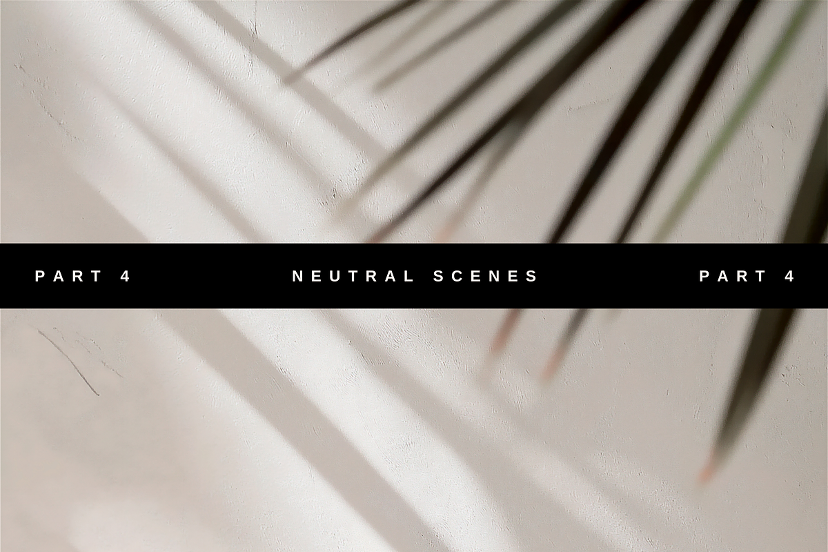 Neutral Wellness Stock Photo Bundle, a Beauty & Fashion Photo by Serenefeeling (Photo 15 of 23)