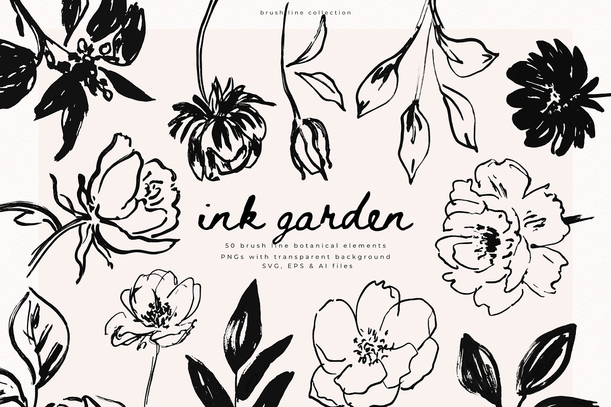 Ink Garden - 50 Brush Line Elements, a Decorative Illustration by PeDe Designs (Photo 1 of 7)