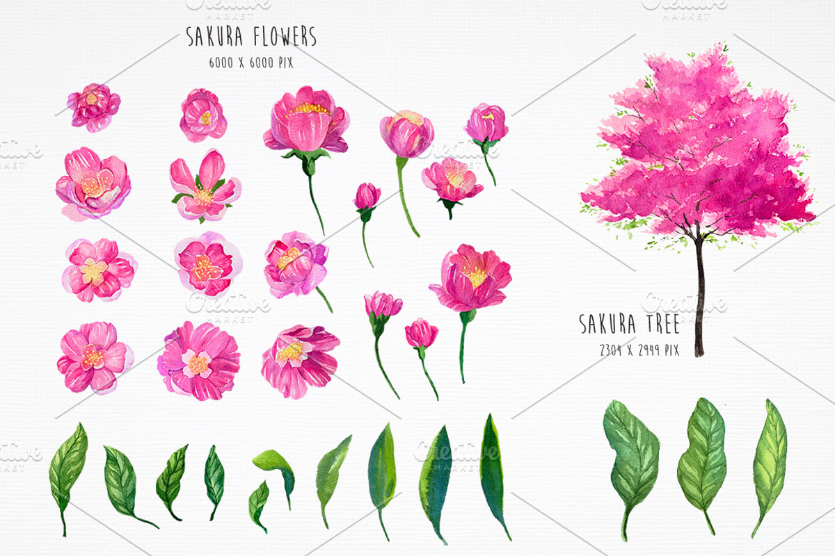 Sakura. Riot of Cherry blossom., a Decorative Illustration by AlexGreenArt (Photo 4 of 7)