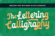 Merlight Bold Script, a Script Font by Letterhend Studio (Thumbnail 2 of 9)
