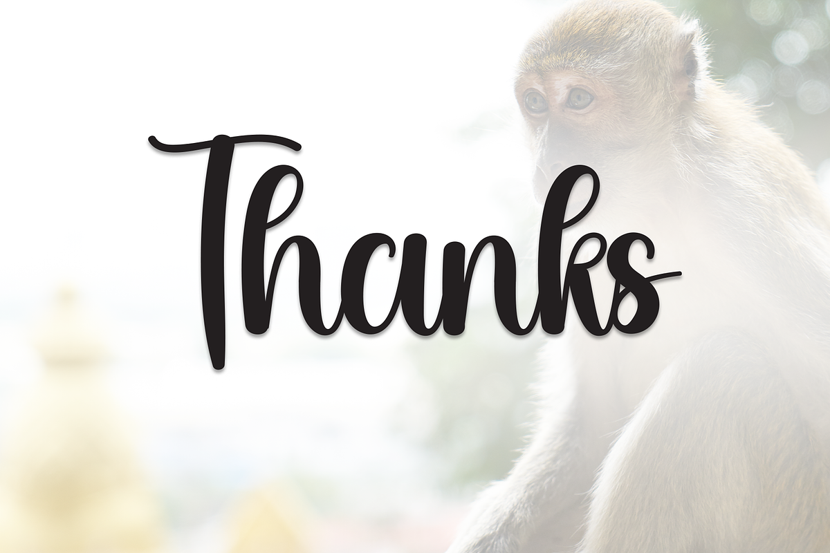 Monkey | Script Font, a Handwritten Font by Scratchones (Photo 9 of 9)