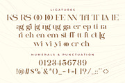 Dalgena | An Elegant Display Serif, a Serif Font by Andrimada Creative (Thumbnail 13 of 13)