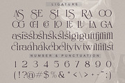 Elaine Dawn - Modern Luxury Serif, a Serif Font by Qweera Studio (Thumbnail 10 of 12)