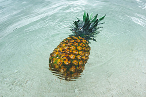 Pineapple at Beach in Mexico 10