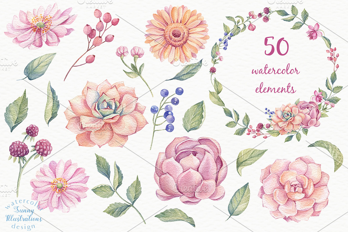 SALE! Watercolor Succulents, an Illustration by Irina Diasli (Photo 2 of 8)