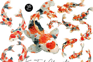 Watercolor Koi Fish Clipart, an Animal Illustration by Design Scotch
