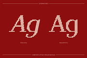 CS Reamus Disco, a Serif Font by Craft Supply Co. (Thumbnail 3 of 8)