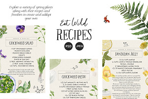 Eat Wild - Spring Foraging Project