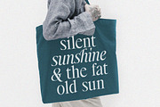 Astire Klarish, a Serif Font by Dora Typefoundry (Thumbnail 35 of 36)