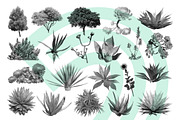 Plant Brushes v2, a Brush Add-On by envirographic (Thumbnail 2 of 5)