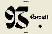 TAN - NEW YORK, a Blackletter Font by TanType (Thumbnail 3 of 15)