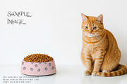 Pet Bowls PNG & PSD Mockups, a Product Mockup by mock-ups (Thumbnail 11 of 12)