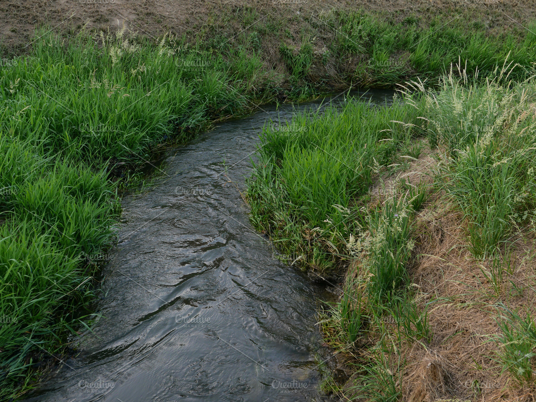 water rivulet amidst the grass, a Photo by WorldOfPhotos