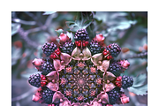Muit Co · Retro Fruit Mandalas, a Food Illustration by milatovar (Thumbnail 19 of 22)