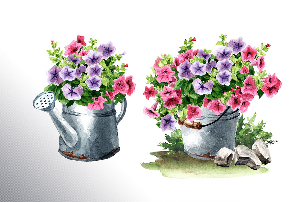 Rustic Collection, an Illustration by Daria Ustiugova (Photo 4 of 12)