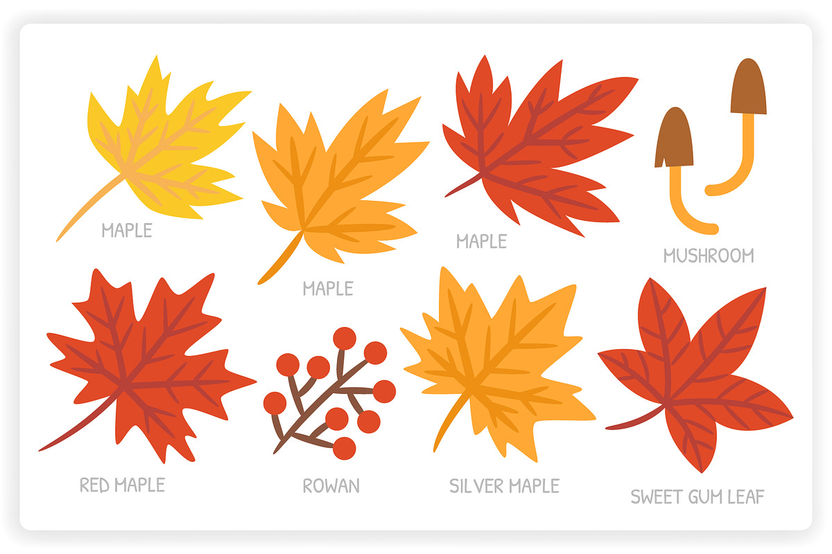 36 Autumn Elements + 12 Patterns, a Graphic by monkik (Photo 6 of 12)