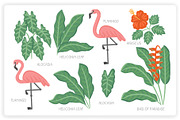 36 Tropical Elements + 12 Patterns, an Object Graphic by monkik (Thumbnail 3 of 11)