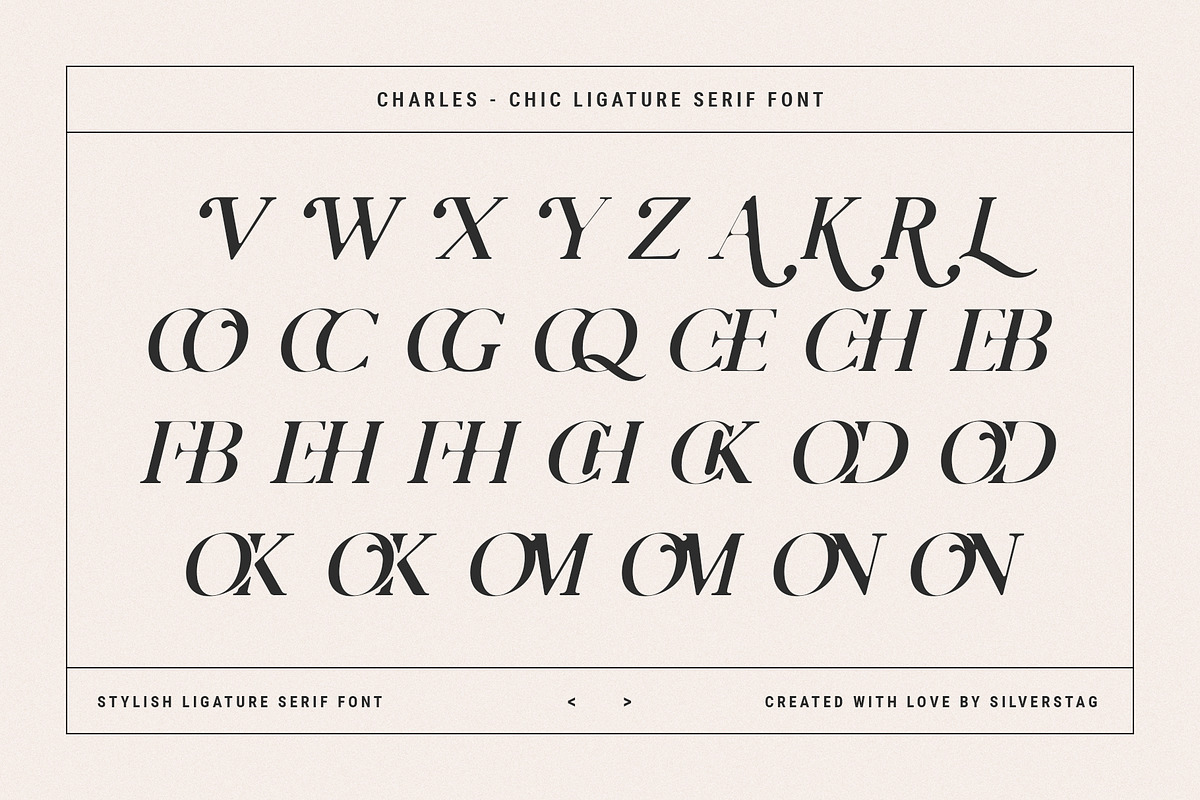 Charles - Ligature Serif Font Family, a Serif Font by SilverStag Type Foundry (Photo 27 of 32)