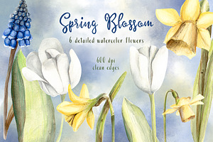 Spring Blossom Watercolor Flowers