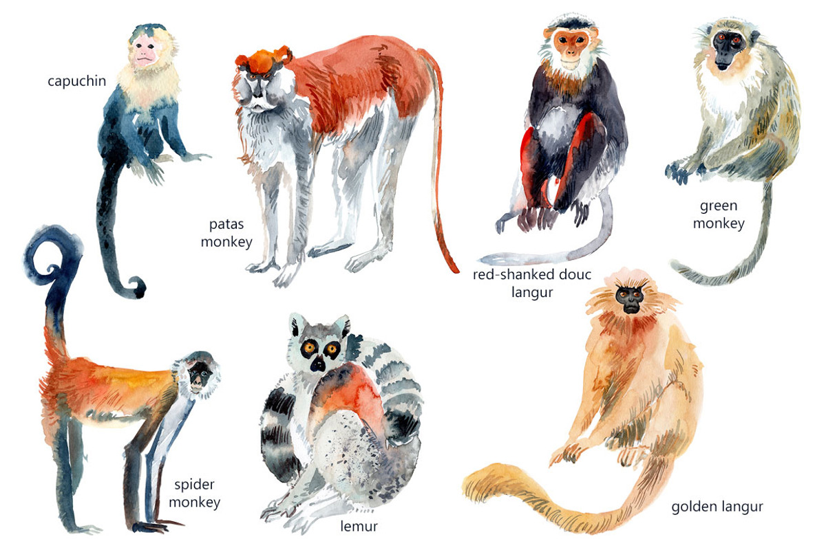 Watercolor Happy Monkeys, an Animal Illustration by Anastasia (Photo 12 of 13)