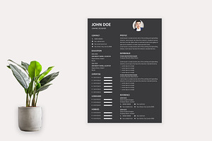 Minimal Modern Resume Template