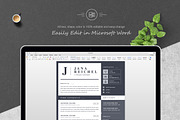 Professional Resume Template, a Resume Template by ResumeInventor (Thumbnail 4 of 5)