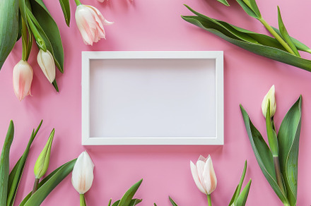Spring's Elegance: Tulips & Frame on Pastel Blue - A Generative AI Creation, a Photo by José Manuel Gelpi