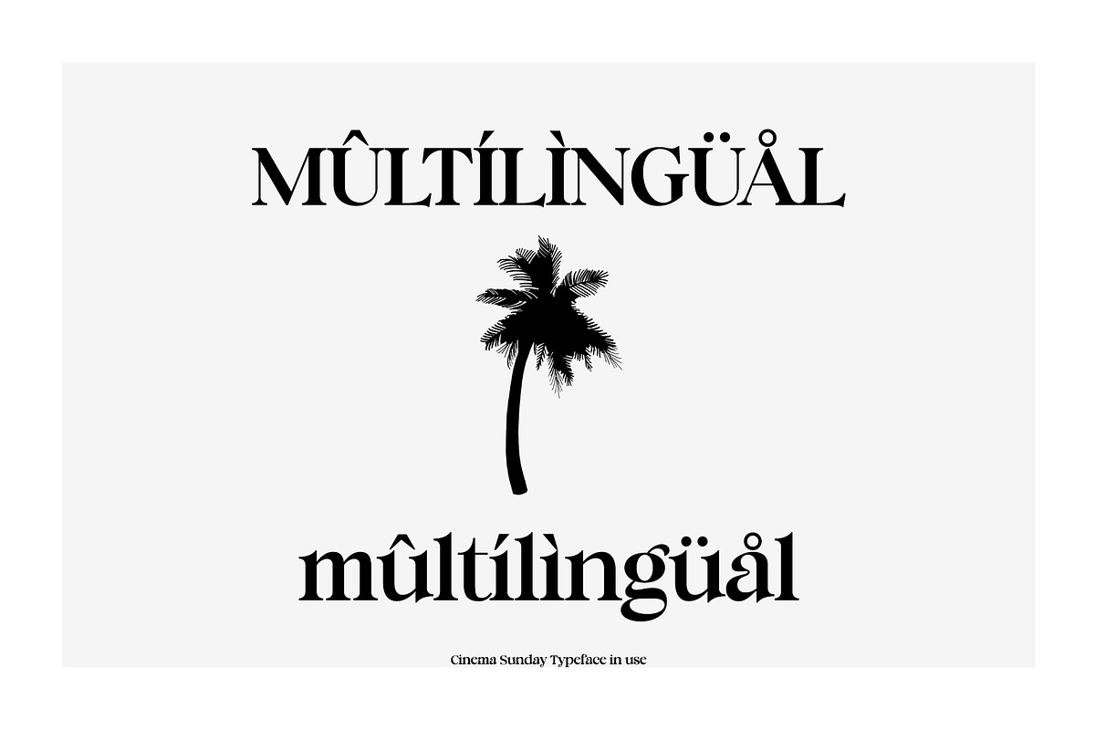 cinema sunday, a Serif Font by INKSUN™ (Photo 10 of 11)