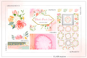 Blush Peach Sage flowers, a Texture Illustration by LABFcreations (Thumbnail 6 of 13)