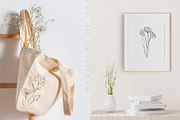 Minimalistic Line Flowers & Leaves, a Decorative Illustration by La Petite Line Art (Thumbnail 6 of 10)