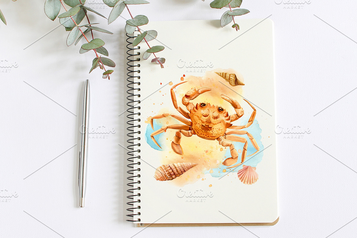 Watercolor starfish, shells, crabs, an Animal Illustration by Hanna Hryharenka (Photo 7 of 12)
