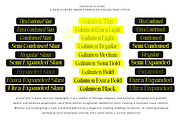 Galmiten | 243 Font Styles, a Serif Font by IM Studio (Thumbnail 2 of 12)