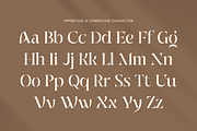 Vibing - Modern Serif Stencil Font, a Serif Font by Sensatype (Thumbnail 10 of 12)