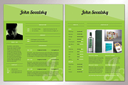 Colorful InDesign Resume, a Resume Template by FDwight (Thumbnail 2 of 4)