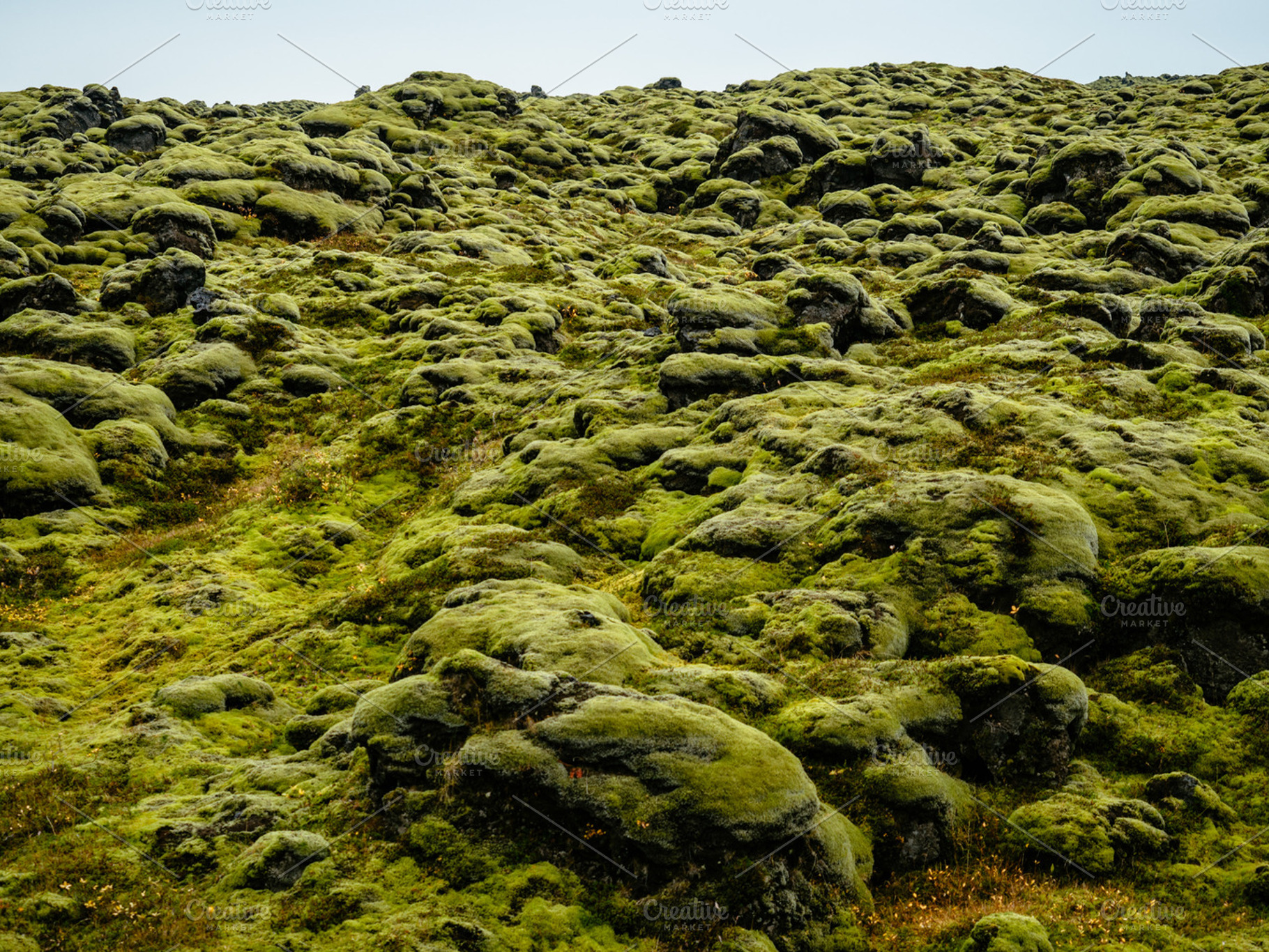 Iceland, a Photo by ugmonk