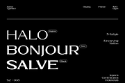 Aerion - Display Serif, a Serif Font by Uncarving (Thumbnail 3 of 20)