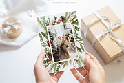Winter Christmas Greenery Collection, a Decorative Illustration by Grace Noboa Illustrations (Thumbnail 3 of 8)