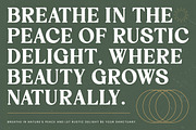 Rustic Delight - Bold Serif Font, a Serif Font by timelesstype.co (Thumbnail 4 of 20)
