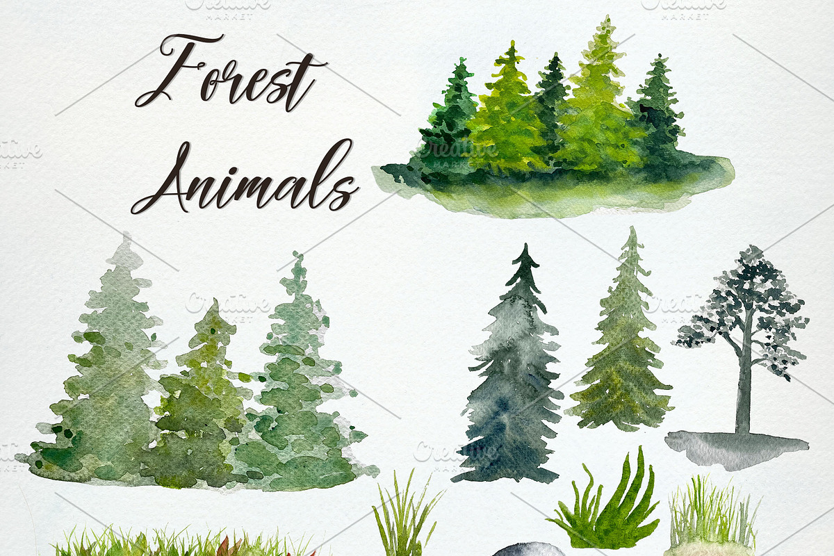 Forest animals watercolor clip art, an Animal Illustration by SandraGraphicDesign (Photo 3 of 5)