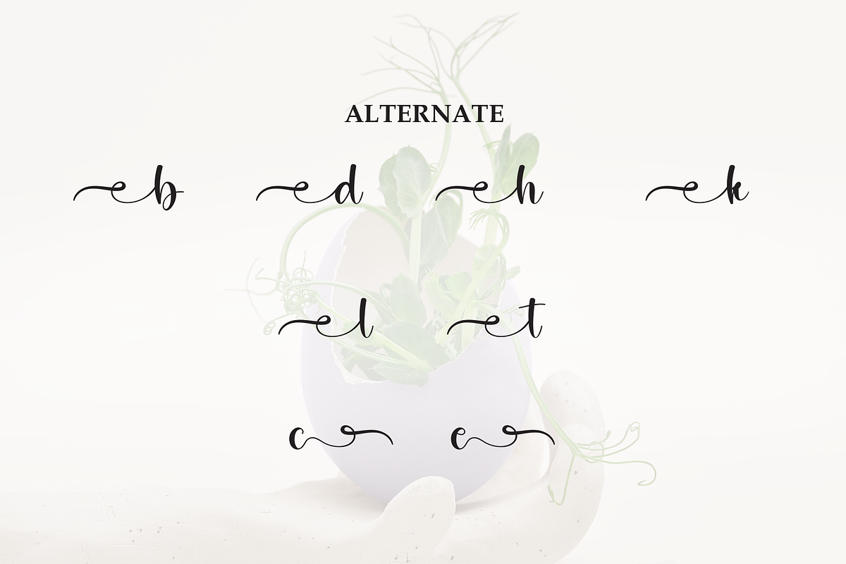 Belive | Script Font, a Handwritten Font by Scratchones (Photo 8 of 9)