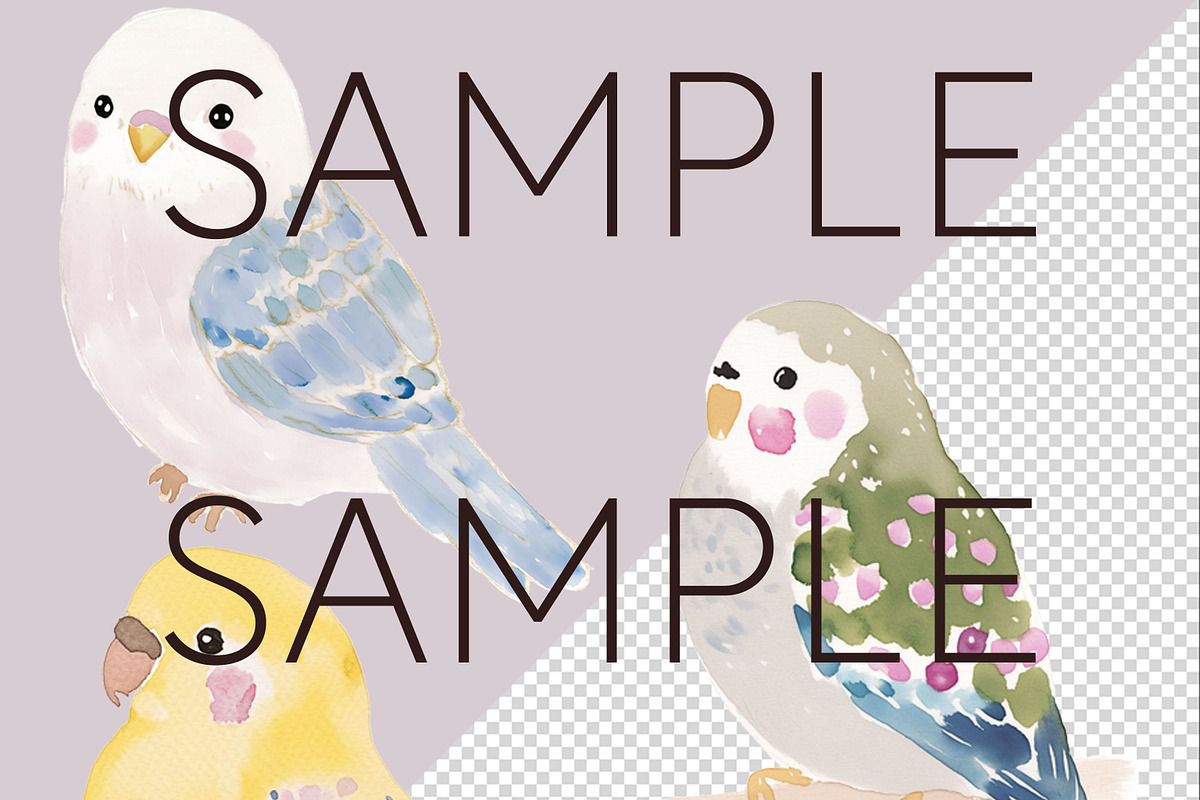 Whimsical Australian Birds Clipart, an Animal Illustration by Pawcasso's Portraits (Photo 3 of 7)