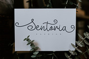 Smotie Butter - Monoline Script, a Script Font by NTC Graphic (Thumbnail 3 of 9)
