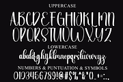 Charming Smile, a Handwritten Font by InermediaSTUDIO (Thumbnail 7 of 8)